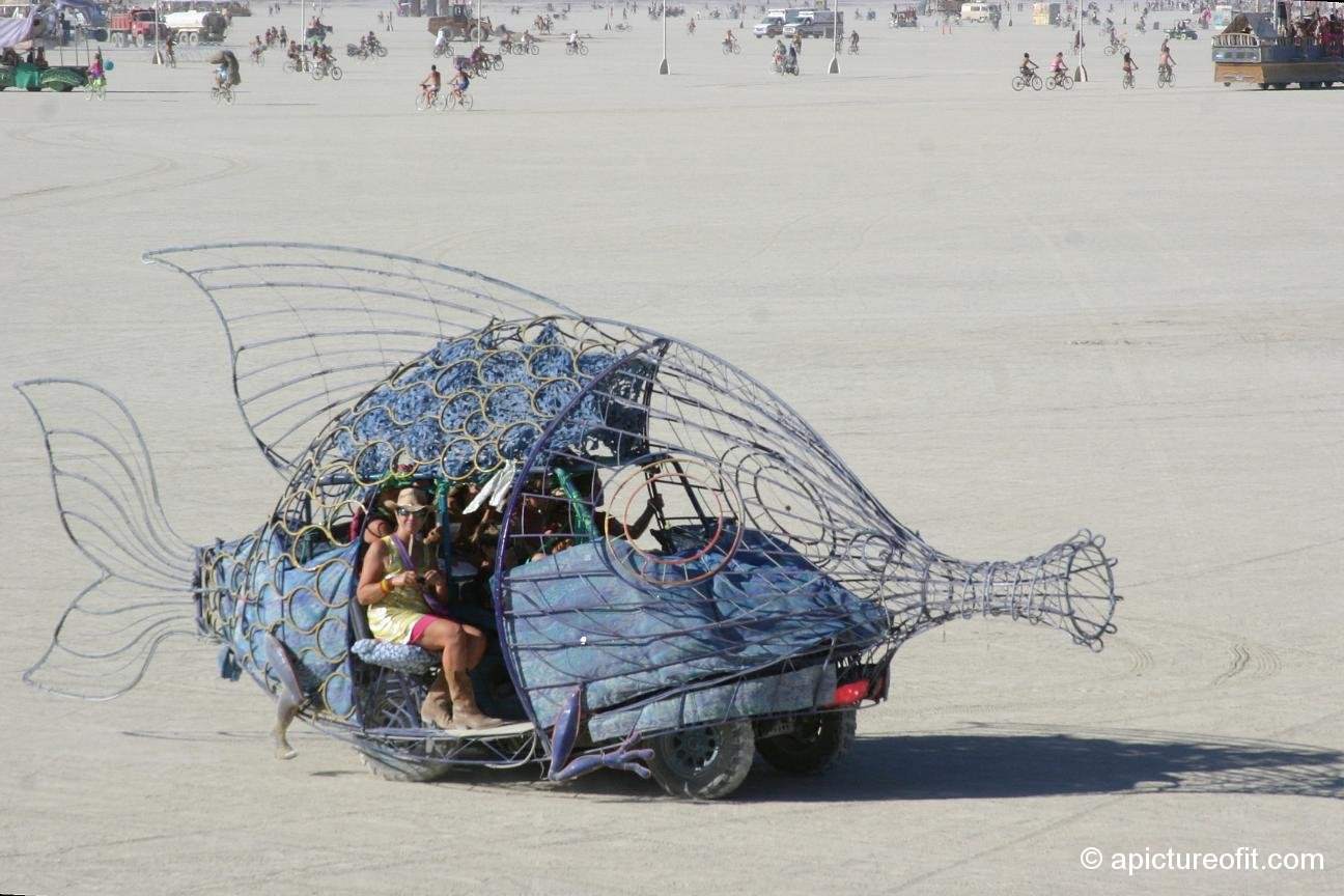 fishartcar_img_0179